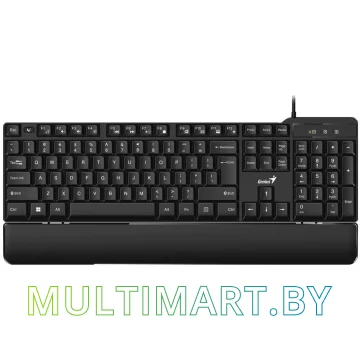 Клавиатура Genius KB-100XP